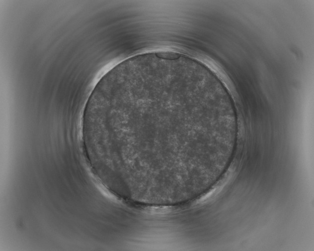 X0000112800858200910021119