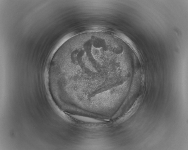 X0000112800859200910021119