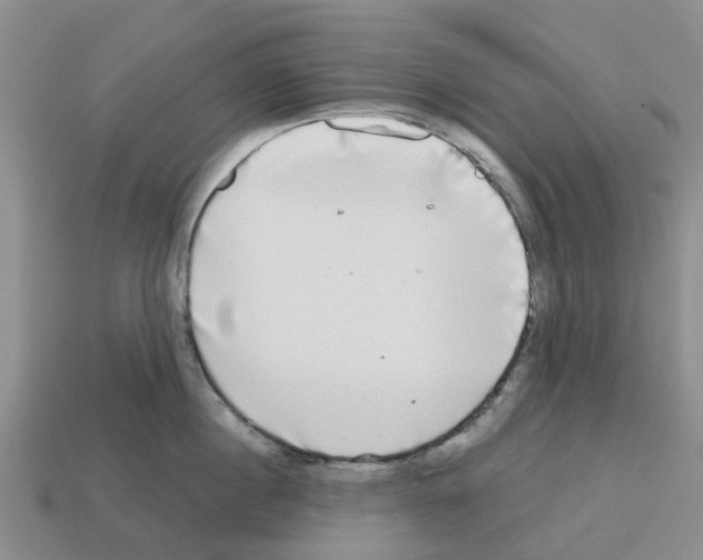 X0000112800860200910021119