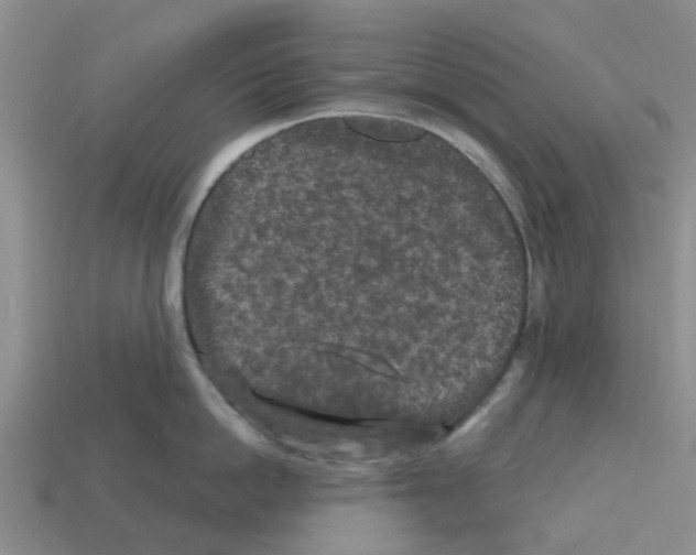 X0000112800862200910021119