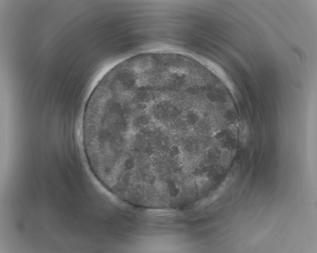 X0000112800863200910021119
