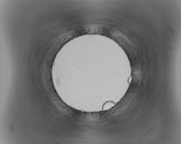X0000112800865200910021118