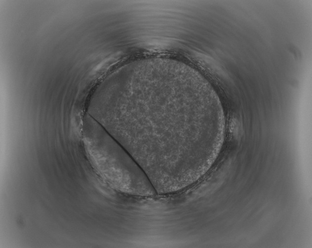 X0000112800868200910021118
