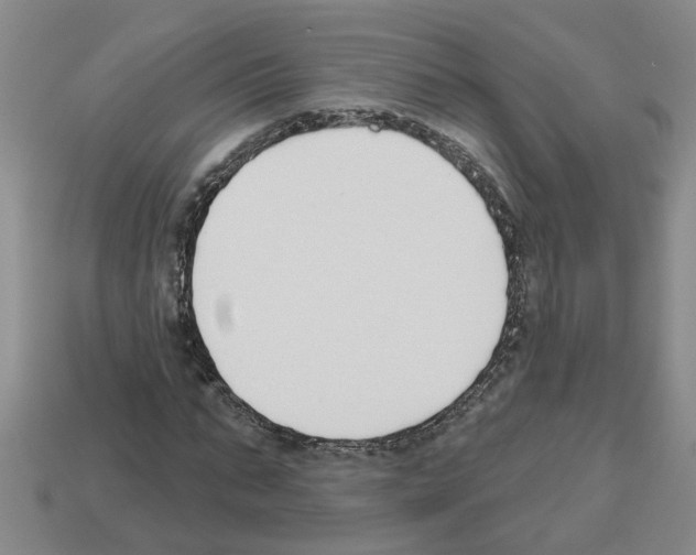 X0000112800871200910021118