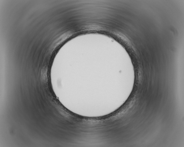 X0000112800873200910021118