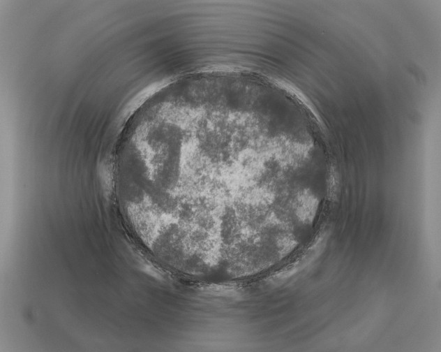 X0000112800874200910021118