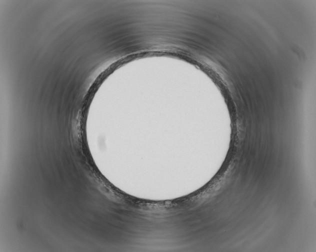 X0000112800875200910021118