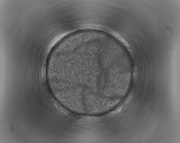 X0000112800877200910021118