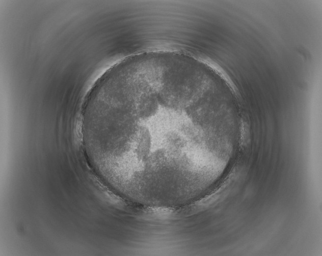 X0000112800878200910021118