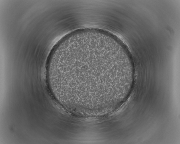 X0000112800879200910021118