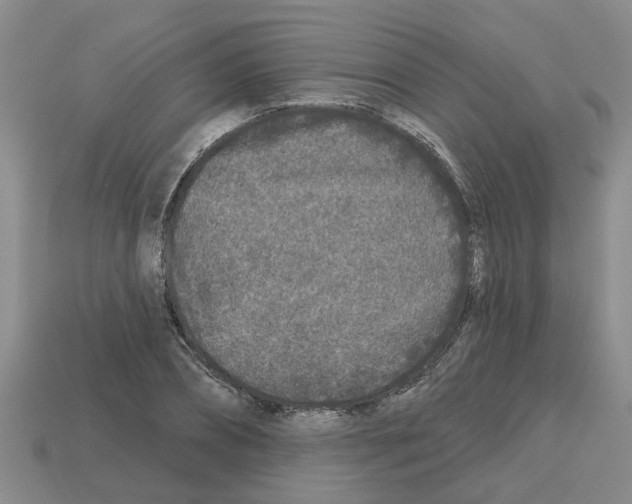 X0000112800882200910021118