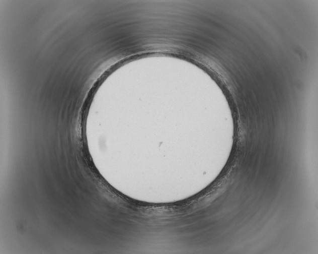 X0000112800883200910021118