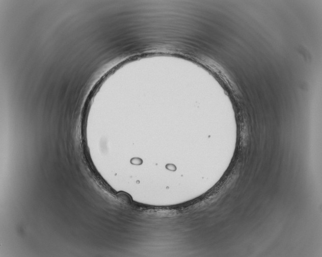 X0000112800884200910021118