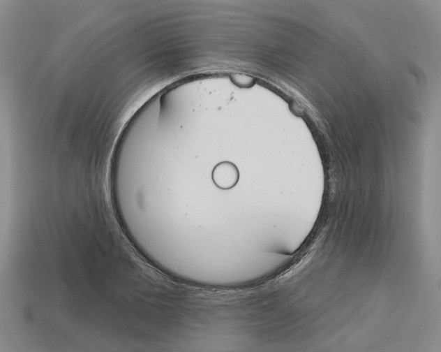 X0000112800885200910021118