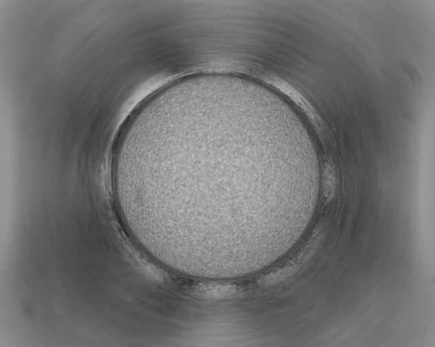 X0000112800886200910021118