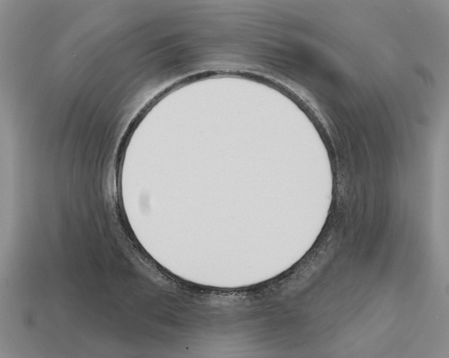 X0000112800887200910021118