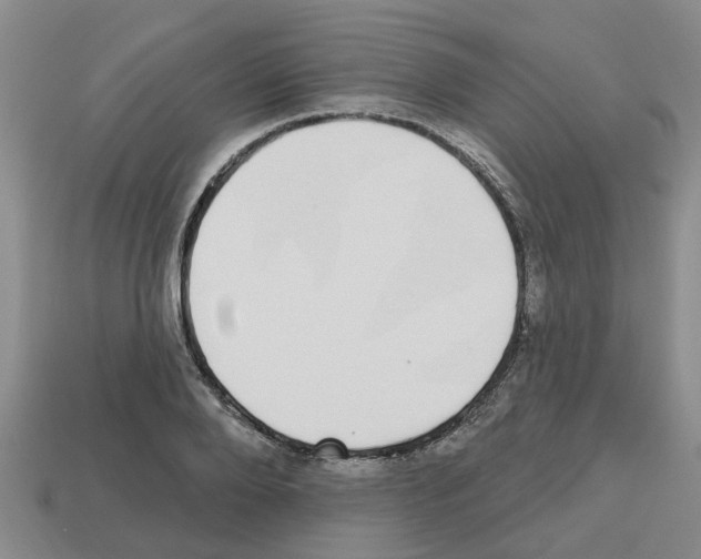 X0000112800888200910021118