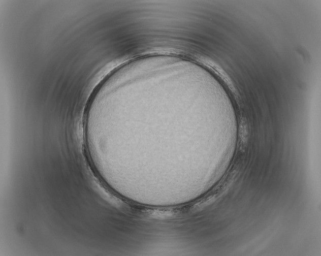X0000112800890200910021118