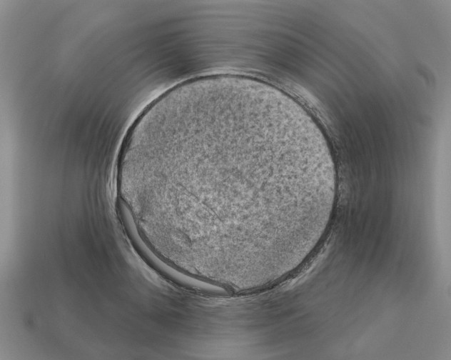 X0000112800892200910021118