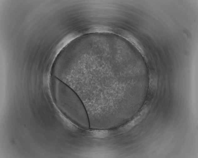 X0000112800893200910021118