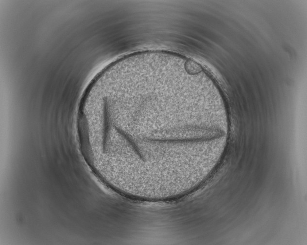 X0000112800894200910021118
