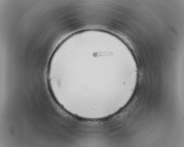 X0000112800895200910021118