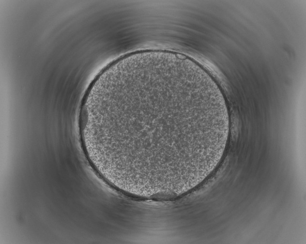 X0000112800896200910021118