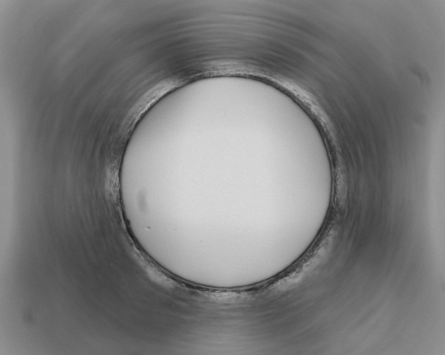 X0000112800897200910021118