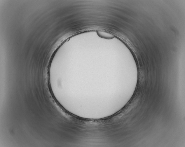 X0000112800898200910021118