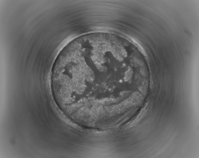 X0000112800899200910021118