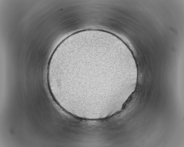 X0000112800903200910021118