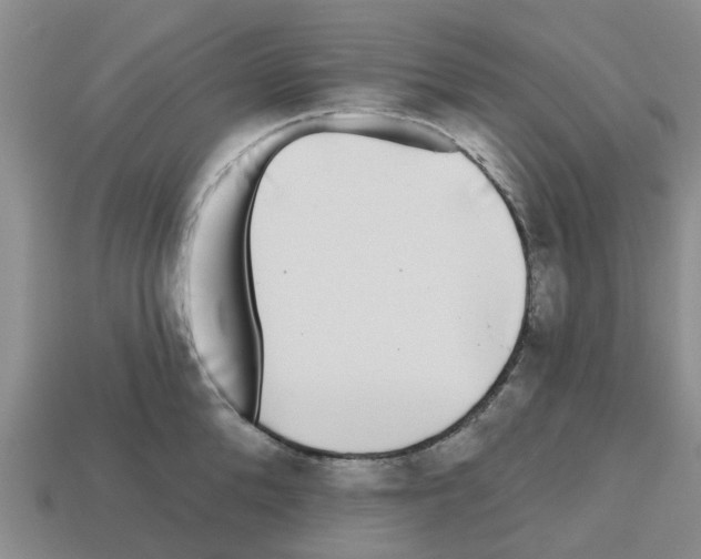 X0000112800904200910021117