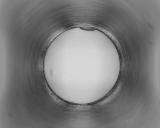 X0000112800905200910021117