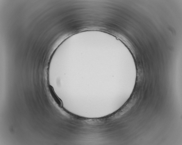X0000112800906200910021117