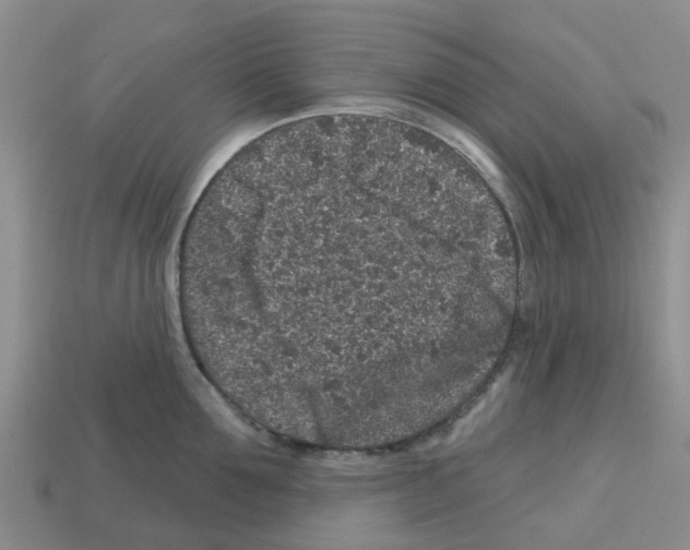 X0000112800907200910021117