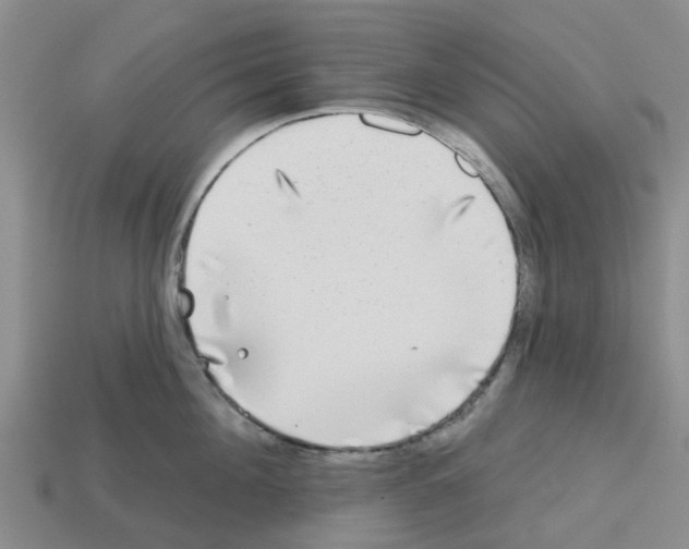 X0000112800908200910021117
