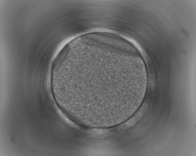 X0000112800910200910021117