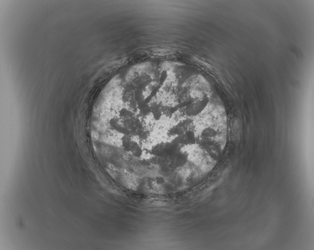 X0000112800913200910021117