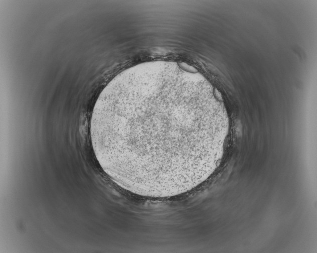 X0000112800914200910021117