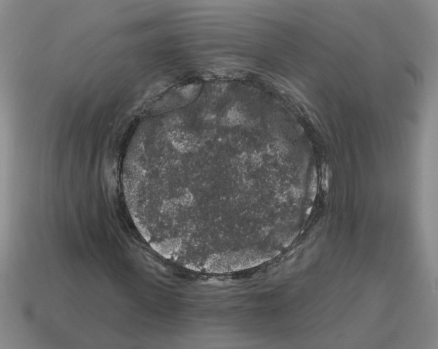 X0000112800915200910021117