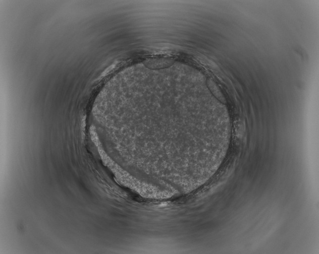 X0000112800916200910021117