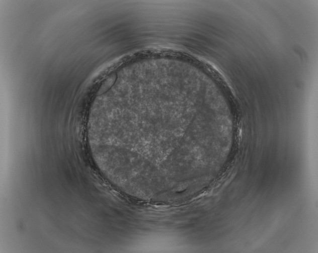 X0000112800919200910021117