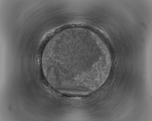 X0000112800920200910021117