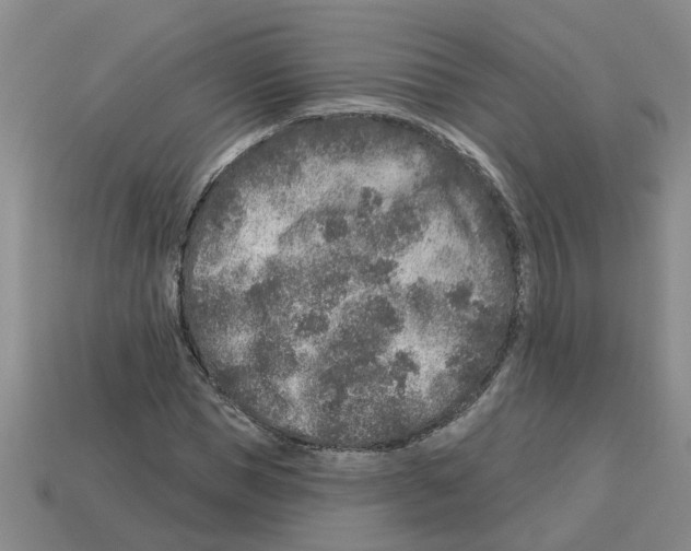 X0000112800921200910021117