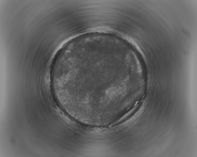 X0000112800923200910021117