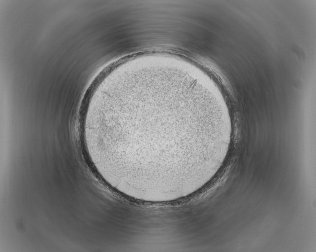 X0000112800924200910021117