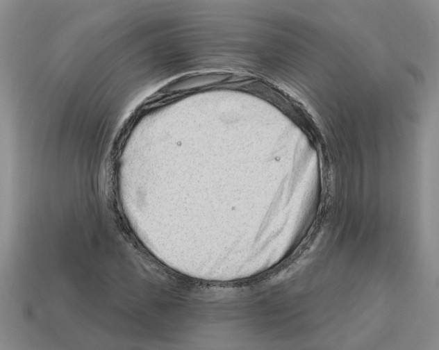 X0000112800925200910021117