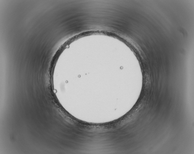 X0000112800927200910021117
