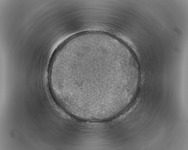 X0000112800928200910021117