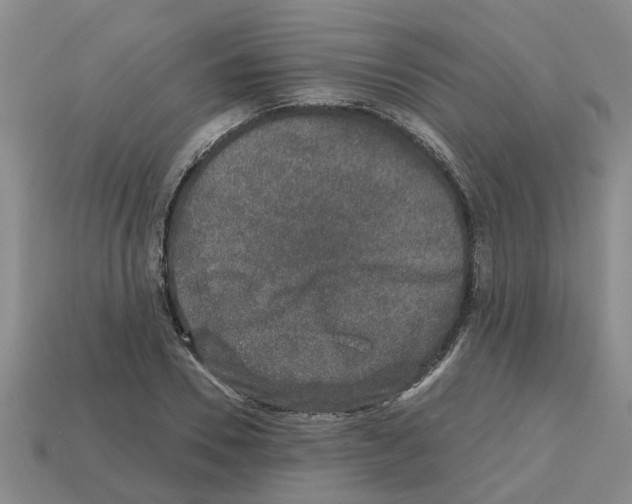 X0000112800930200910021117
